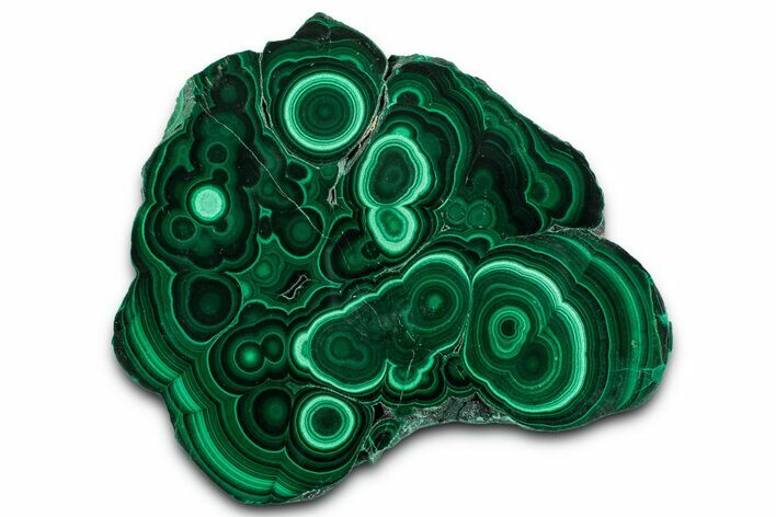 Flowery Polished Malachite Slab - DR Congo #350832